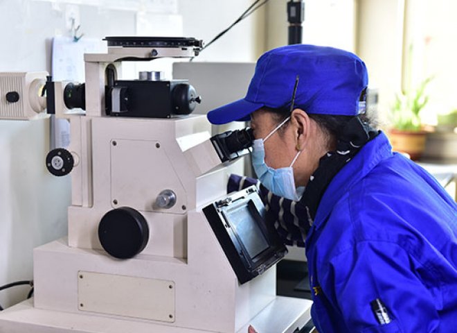 Metallurgical Micro-test